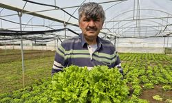 Tarlada 15 tezgâhta 100 lira: Eskişehir'de akıl almaz uçurum!