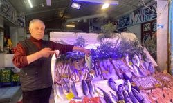 Yasaklar başladı: Eskişehir'de balığa zam gelecek mi?