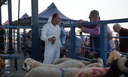 Büyükşehir'den hijyenik ve güvenli kurban kesim hizmeti