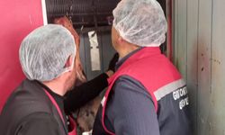 Eskişehir'de gıda denetimleri devam ediyor