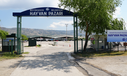 Eskişehir Hayvan Pazarı ücretleri ve açılış tarihi belli oldu!