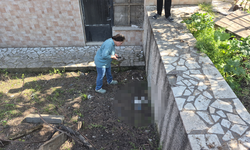 Eskişehir'de gizemli kedi ölümleri: Zehirlenme şüphesi araştırılıyor