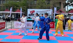 Gençlik Festivali Valilik Meydanı’nda devam ediyor