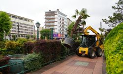 Palmiyeler Eskişehir’i renklendirdi