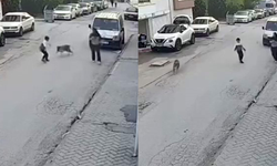 Eskişehir'de korku dolu anlar: Sokak köpeğinden böyle kaçtı