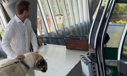 Uludağ’da ilginç anlar kameralara yansıdı