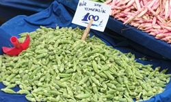 500 liralık bamya kiloyla değil bir yemeklik satılıyor