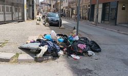 Eskişehir’de ‘bu kadarına da pes’ dedirten görüntü