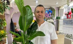 Yaz aylarında çiçek bakımının püf noktaları