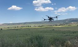 Tarımda teknoloji: Eskişehir’de dron ile ilaçlama