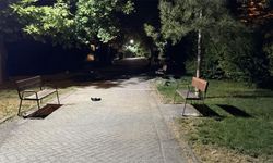 Eskişehir'de parkta alkol alan şahıslar arasında kavga: 3 kişi yaralandı