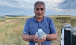 Eskişehir’de 43 yıldır süren güvercin tutkusu