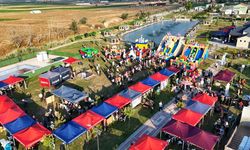 Köylerde yaz coşkusu sürüyor