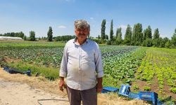 “Tarladan markete makasın bu kadar açılması hırsızlıktır”