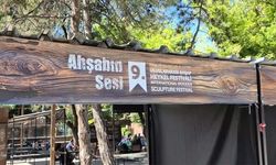 Odunpazarı 9. Uluslararası Ahşap Heykel Festivali beklentilerin gerisinde kaldı