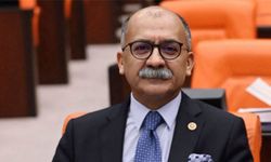CHP’li Arslan: Alpu Ovası’nda kimin çıkarı korunuyor?