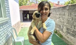 Eskişehir'de iki gönüllü yüzlerce sokak hayvanına umut oluyor