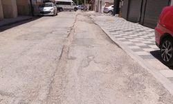 Eskişehir'de köstebek yuvası yollar çileden çıkartıyor