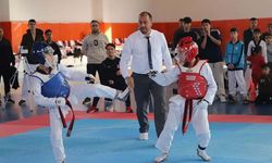 Taekwondo Küçük-Minik Kız-Erkek İl Birinciliği müsabakaları başlıyor