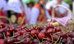 46. Geleneksel Mihalıççıklılar Günü ve Kiraz Festivali ile ilgili önemli gelişme