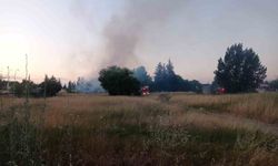 Eskişehir'de otluk alanda yangın