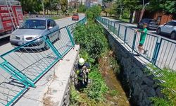 Eskişehir'de su kanalına düşen yavru köpek itfaiye arasından kurtarıldı
