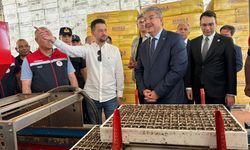 Eskişehir Valisi Yılmaz'dan Sarıcakaya'daki fide tesisine ziyaret