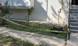 Eskişehir'de acı olay: 4'üncü kattan düşen yaşlı kadın yaşamını yitirdi