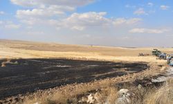 Eskişehir’de biçerdöverin neden olduğu yangın söndürüldü
