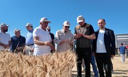 Eskişehir'de buğday hasadına eski Bakan Dönmez'den destek