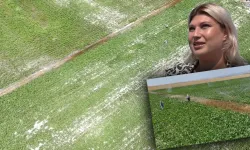 Yapamaz dediler, yaptı: Eskişehir'de genç mühendis tarlada ezber bozdu