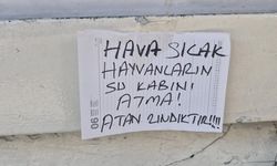 Eskişehir'de hayvanseverden sokak hayvanları için dikkat çeken uyarı
