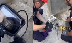 Eskişehir'de itfaiyeden hayat kurtaran müdahale: Yavru kedi 5 metre derinden çıkarıldı