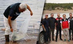Eskişehir’de Musaözü Göleti'ne 2 bin 500 yayın balığı yavrusu bırakıldı