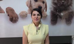 Sokak hayvanı sahiplenirken veteriner kontrolü önemli