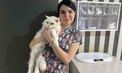 Uzman veteriner açıkladı: Tatilde evcil hayvanlar için en büyük risk