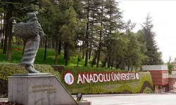 Anadolu Üniversitesi'nin akademik başarısı: Güzel Sanatlar Fakültesi büyük destekçisi