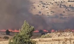 Eskişehir Seyitgazi'de korkutan yangın