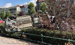 Eskişehir’de kazanın şiddeti ağacı devirdi: Araç takla attı
