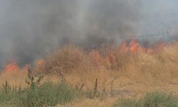 Eskişehir’de otluk alanda çıkan yangın paniğe neden oldu