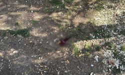 Eskişehir’de parkta döner bıçaklı saldırı