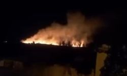Eskişehir'de tarım arazisinde yangın paniği