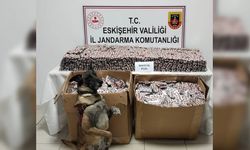 Eskişehir’de zehir operasyonu: 3 şüpheli tutuklandı