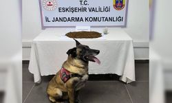 Eskişehir’de zehir tacirlerine geçit yok