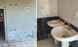 Eskişehir Tepebaşı Doğal Yaşam Parkı’nda tepki çeken görüntüler