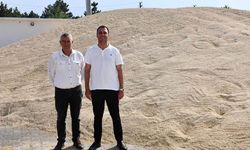Hakan Karabacak açıkladı: Beylikova’da hasat rekor seviyeye çıktı
