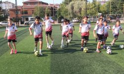 Eğitimde ortak sistem