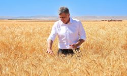 Eskişehir’de bir ilk: Kuraklığa dayanıklı buğday hasat edildi