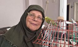 Eskişehir’de minik Fıstık’ın büyük hikâyesi: Ölmek üzereydi, şimdi evin neşesi