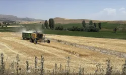 Eskişehir'de tarım arazisinde mühimmat bulundu: Jandarma alarma geçti